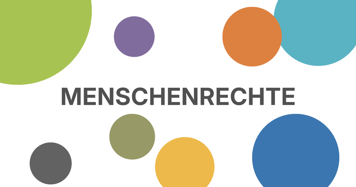 Verein für Menschenrechte (VMR): Liechtenstein's Independent Gender-Equality Ombudsman